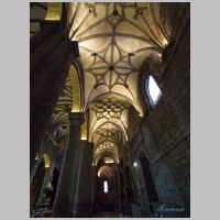 Jaca, photo dirocris, flickr,2.jpg